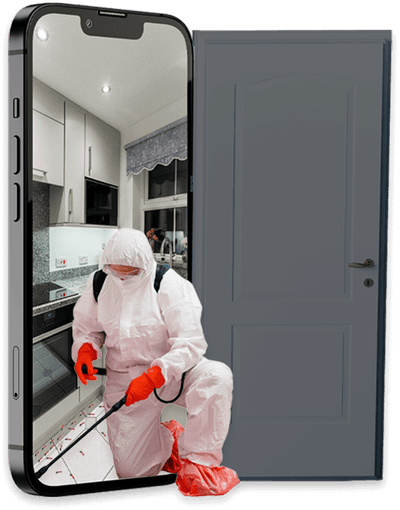immagine di un cellulare dal cui schermo si vede una cucina infestata e un disinfestatore durante l'intervento